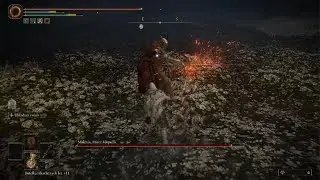 Malenia RoB +10 solo L2 only crazy spelldmg
