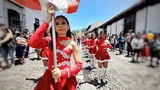 Liceo Latino WHITE TIGER 