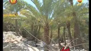 مسيرة الخير ولايتي ( مدحاء و بخا ) - تلفزيون سلطنة عمان