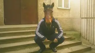 Top 5 Horse