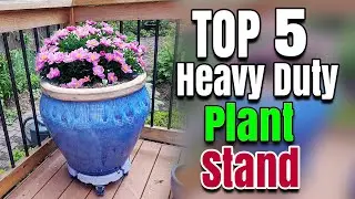 Best Heavy Duty Plant Stand With Wheels