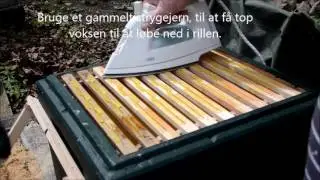 Vokstavle uden snor