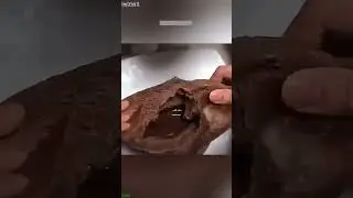 Funniest Cat 😸 cats meowing 🐱 # #3774
