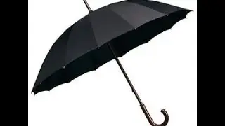 Repr&eacute;sentation cinoque
