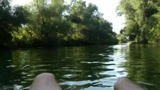 Bootsfahrt auf Wieblingens Neckar