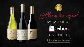 Bumper Cyber Matetic