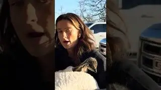 Обновление по Emu, имя маленькой дивы до сих пор неизвестно!