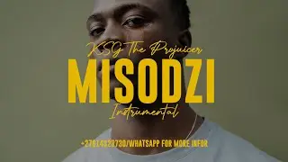 &ldquo;MISODZI&rdquo; SHONA PRINCE X NYASHA DAVID X HOLY TEN TYPE BEAT | EMOTIONAL TRAP INSTRUMENTAL 2026