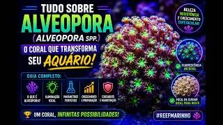 Tudo Sobre Alveopora (Alveopora spp.): O Coral que Transforma Seu Aqu&aacute;rio!