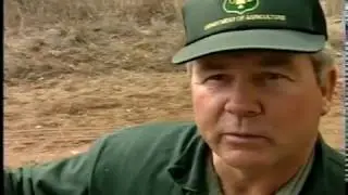 Maintaining the Future: Forest Roads and The Environment