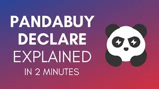 How To Declare On Pandabuy In 2024? (Simple Guide)