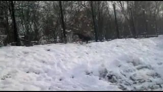 sn&ouml;lek.MP4