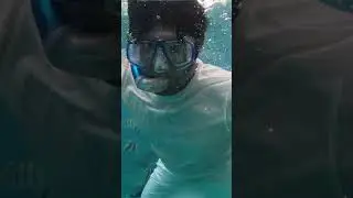 Maldives Water Activities: Swimming with Fish Underwater | Epic Sea Adventure