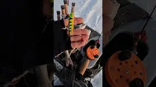 HUONON SY&Ouml;NNIN PILKKI | TEHOKAS OTTIPELI