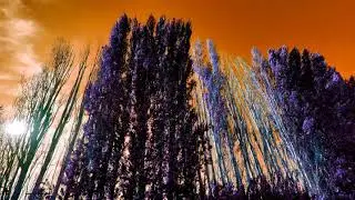 Scattered Thoughts (Italian language version by Eric)