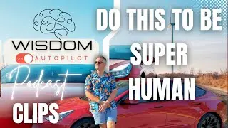 Developing Emotional Regulation Takes You To The Next Level - Wisdom On Autopilot - Clips
