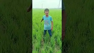 Raheemshah by