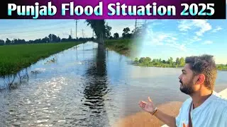 Punjab Floods Situation 2025 ll Satluj River ll Heavy  Rain 🌧️