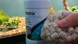 Review y comparación de 