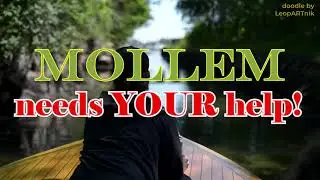 Save Mollem!