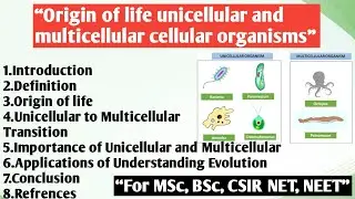 Origin of life unicellular and multicellular cellular organisms | Origin of life
