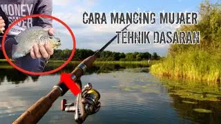 Cara Mancing ikan mujaer ❗Bagi pemula teknik dasaran❗