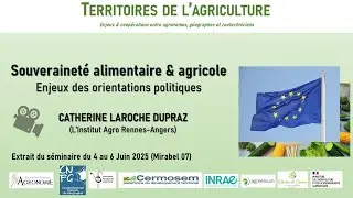 Souveraineté alimentaire et agricole : Enjeux des orientations politiques européennes