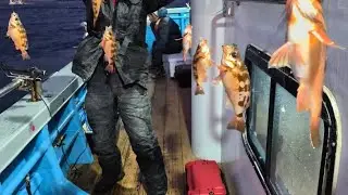 영덕권 실전  열기 외줄 낚시