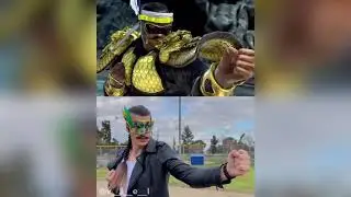 FENG WEI Tekken 7 in Real Life #viel #tekken7 #tekken #fengwei #cosplay #tekkencosplay