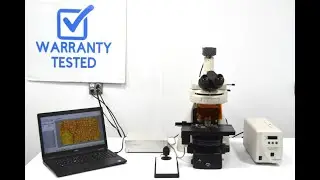 Nikon Eclipse Ni-U Upright Fluorescence Phase Contrast XYMotorized Microscope [BOSTONIND] SM100185XY