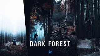 dark forest Lightroom preset..