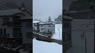 Snowy Saturday Vibes!