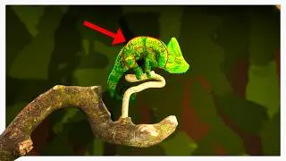 I Became THE Chameleon in Meccha Chameleon