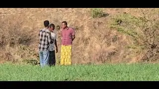 የ #አትክልትና ፍራፍሬ# ልማት# በባቲ ወረዳ ፉራ ቀበሌ በወረዳው # አመራሮች# ሲጎበኝ
