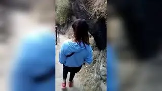 Chovar gufa