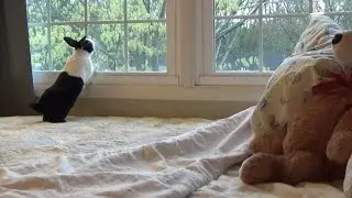 Rabbit Friends are Waiting
