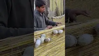 Hand Made Blinds | How to Make Cane/Bamboo Chick for balcony | Sarkanda Crafts | Village | Curtains
