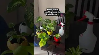 That Friday feeling but make it plant-tastic! #PlantMeme #PlantHumor #Reach #PlantParent #PlantCare
