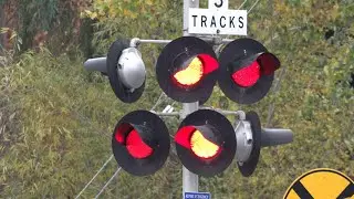 Mayhew Road Railroad Crossing, Sacramento CA - Four SACRT Gold Line Trains, Both Sides Of Crossing