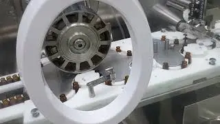 Dry powder filling machine Injectable plant