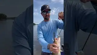 Why throw the OG RATTLE TRAP!  #billlewis #billlewisoutdoors #rattletrap