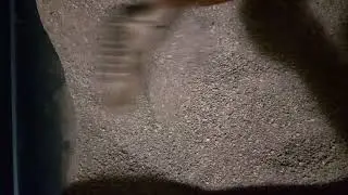 Litter Box Quick and Easy Way to Clean Sticky Clumps