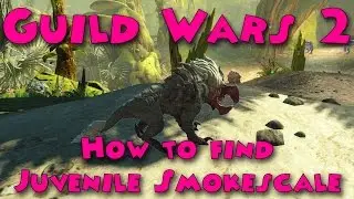 Guild Wars 2 - How to find Juvenile Smokescale