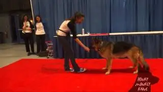 Krazy Kaine Performs at the Super Pet Expo 2014