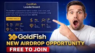 GoldFish Airdrop Step-by-Step Guide (Complete Tasks & Submit Form)