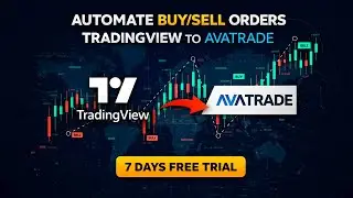 Execute TradingView Buy/Sell Orders Automatically on MT5 (AvaTrade Full Setup)