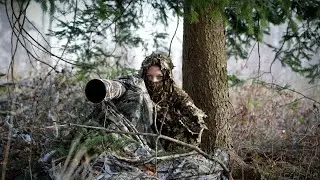Фотосъемка дикой природы 🦨маскировка 🦌обман 🐿️стрельба🦊