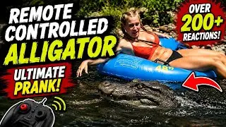 Remote Controlled Alligator Ultimate Prank Compilation
