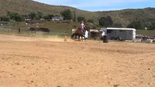 Nicki 4yr old mare fururity prospect
