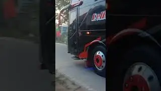 bus relisa trans fredom